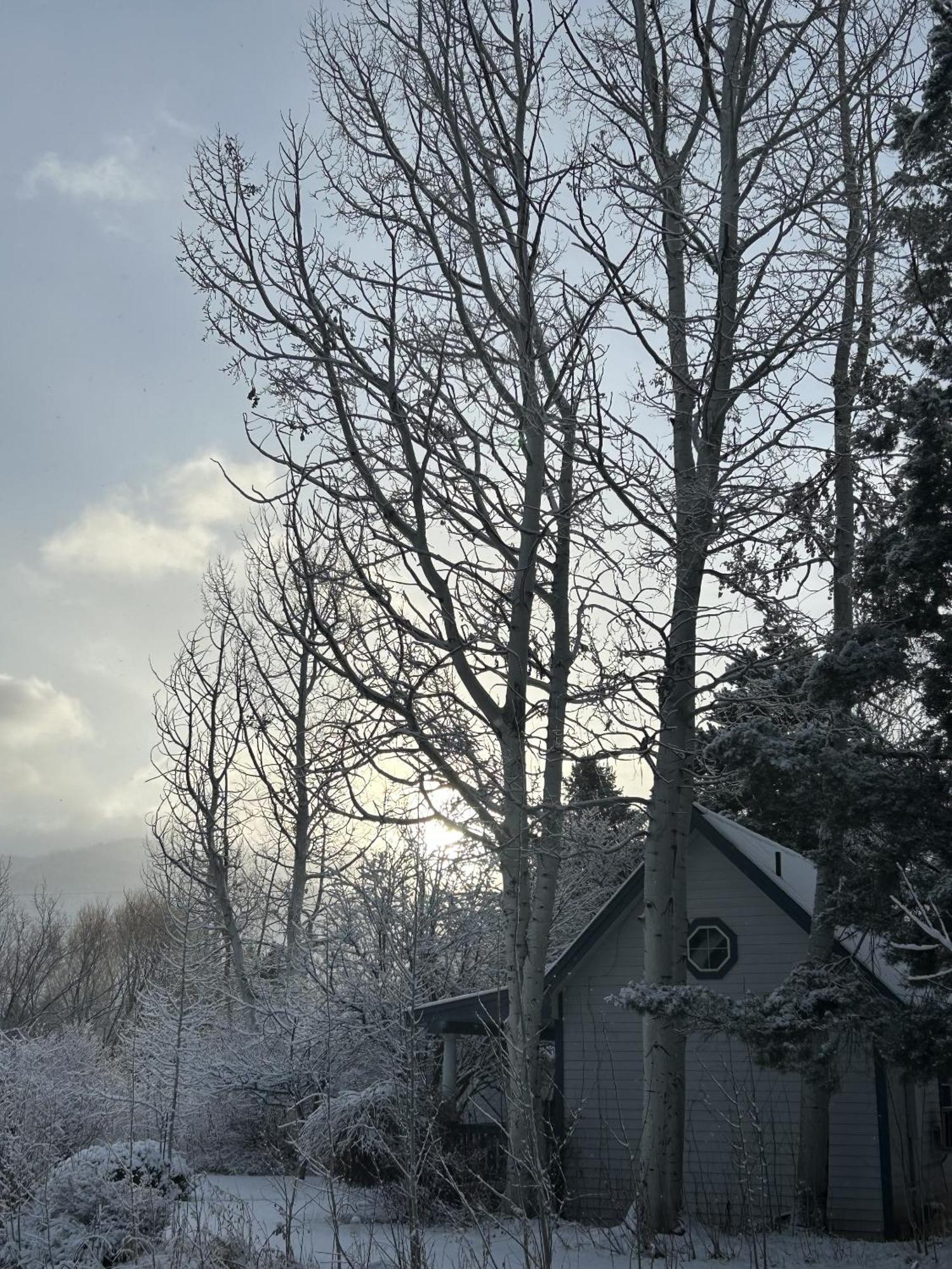 Apple Orchard Inn Hermosa Экстерьер фото